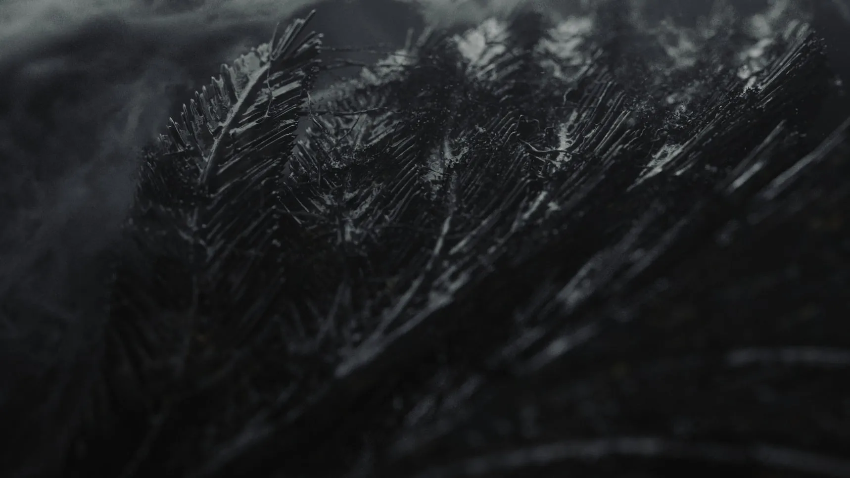 Warlock — Teaser Trailer — design frame 2