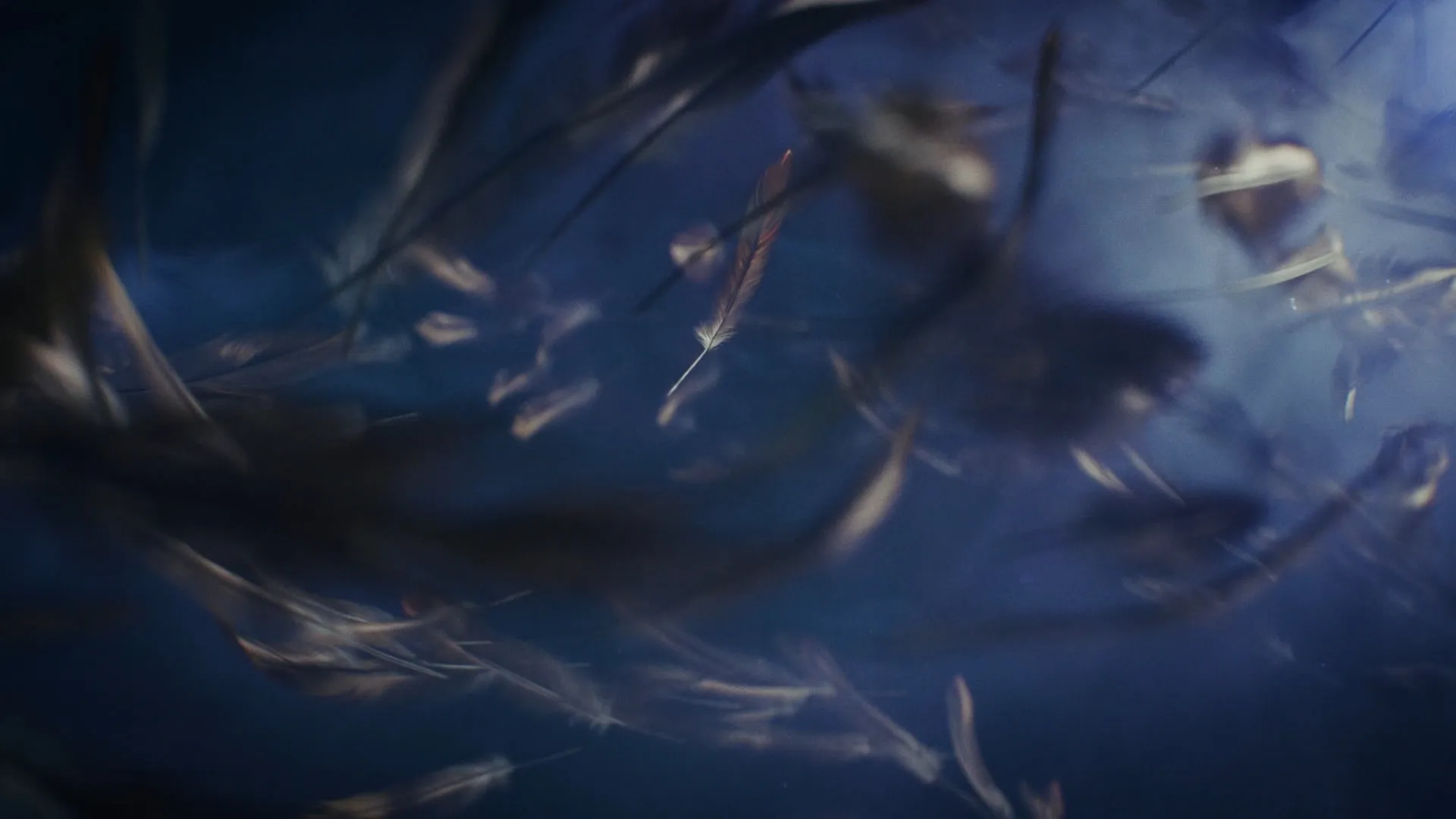 Warlock — Teaser Trailer — still 1