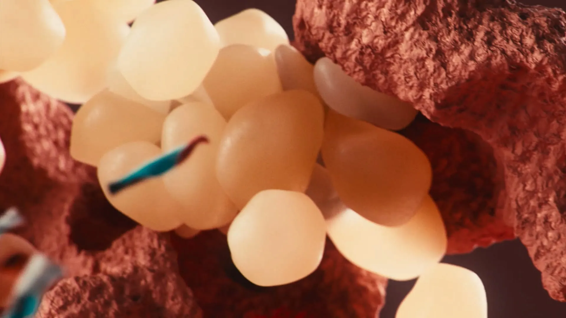 KAFT Colors — Coral — still 3