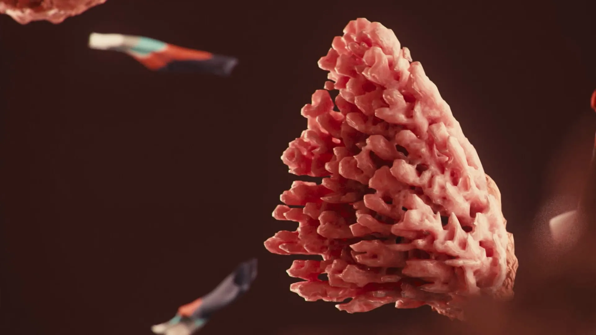 KAFT Colors — Coral — still 6