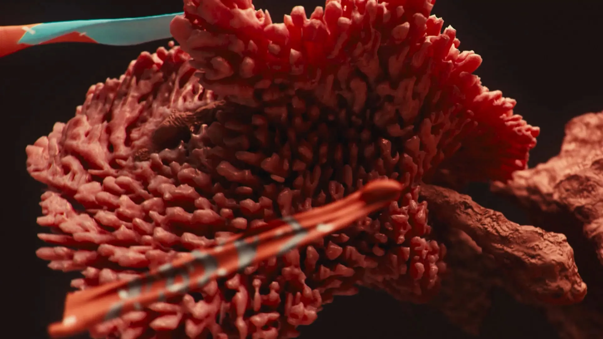 KAFT Colors — Coral — still 7