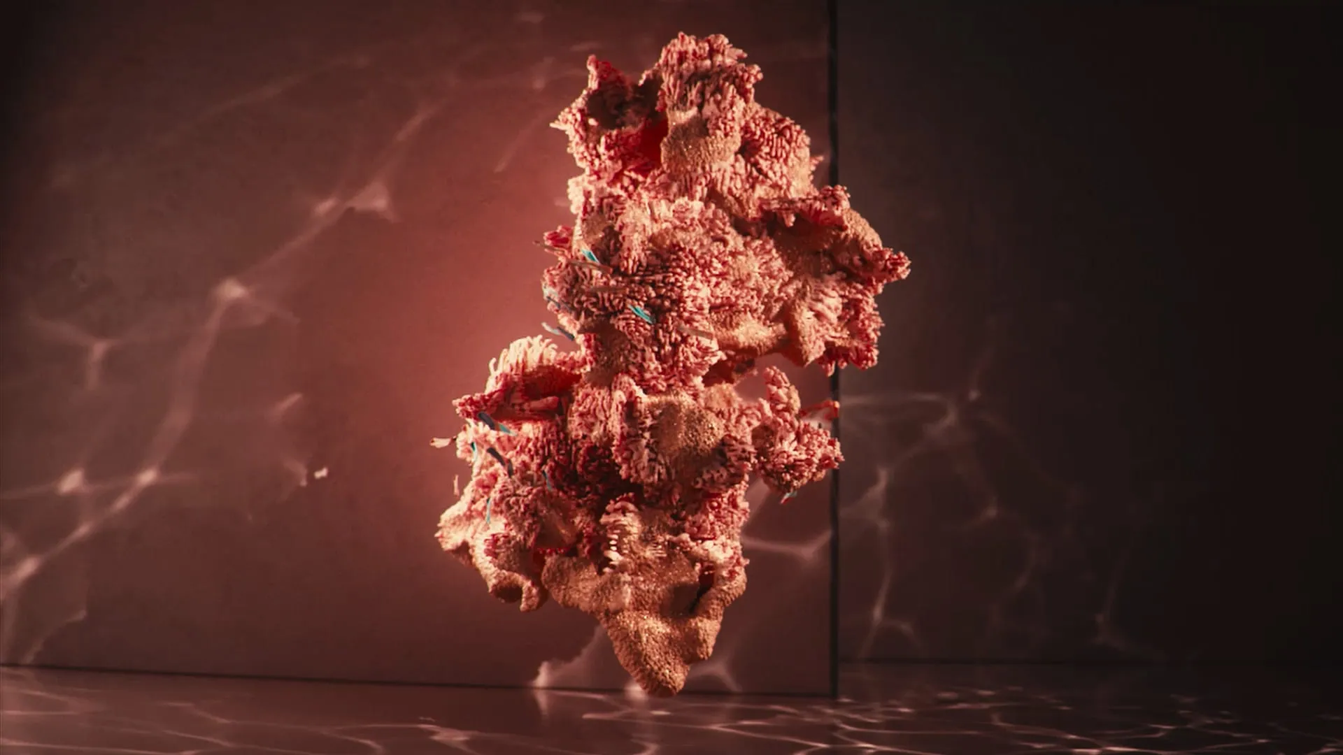 KAFT Colors — Coral — still 8