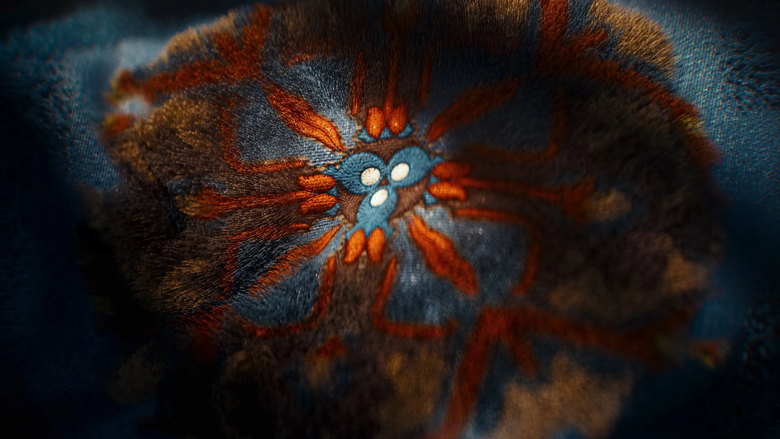 Golden Opulence — Main Titles — still 9